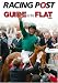 Racing Post Guide to the Flat 2009