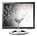 LG Flatron L1980U Ultra Slim 19" LCD Monitor (Black)