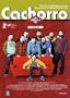 Bear Cub ( Cachorro ) [ NON-USA FORMAT, PAL, Reg.2 Import - Spain ]