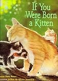 If you were born a kitten
