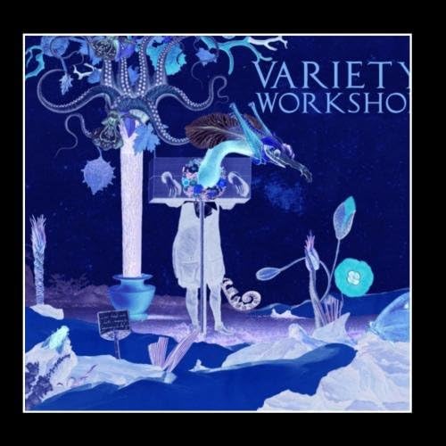 Variety Workshop