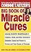 Book Corrine T. Netzer's Big Book of Miracle Cures