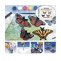 Eyewitness Butterfly Casting Kit (Monarch/ Painted Lady/ Swallowtail/ Red Admiral)