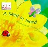 Seed in Need: First Look at the Life Cycle of a Flower (Little Bees)