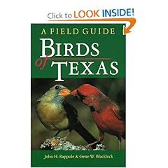 Birds of Texas: A Field Guide (The W.L. Moody, Jr., Natural History, No 14)