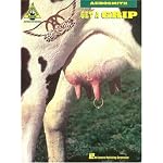 Aerosmith - Get a Grip* book cover