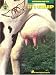 Books : Aerosmith - Get a Grip*