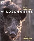 Produkt-Bild: Wildschweine
