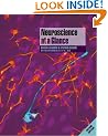 Neuroscience at a Glance