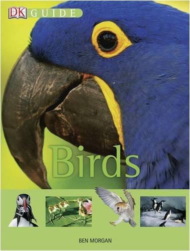 Birds (Dk Guides)