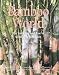 Book Bamboo World: Clumping Bamboos & How to Use Them