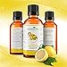 Real Lemon Essential Oil :: Pure Undiluted (1oz)
