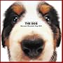 Artlist Collection the Dog 2005 Calendar Bernese Mountain Dog (Multilingual Edition)