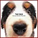 Artlist Collection the Dog 2005 Calendar Bernese Mountain Dog (Multilingual Edition)