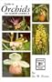 Guide to Orchids of North America