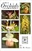 Guide to Orchids of North America