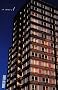 The Estate: A Novel
