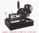 Gillette Generators GPNDL-120E GEN-PRO DIESEL ENGINE DRIVEN GENERATORS Max. KW: 12, Rated KW: 10. 5