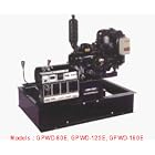 Click here to buy Gillette Generators GPNDL-120E GEN-PRO DIESEL ENGINE DRIVEN GENERATORS Max. KW: 12, Rated... by Gillette Generators.