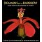Best Hawaiian children's books