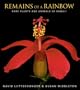Remains of a Rainbow: Rare Plants and Animals of Hawaii (National Geographic Insight)