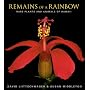 Remains of a Rainbow: Rare Plants and Animals of Hawaii