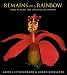 Remains of a Rainbow: Rare Plants and Animals of Hawaii