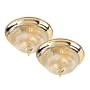Royce Lighting RFM2/914-325 Twin Pack Flush Mount in Polished Brass Finish