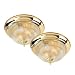 Royce Lighting RFM2/914-325 Twin Pack Flush Mount in Polished Brass Finish