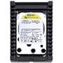 Western Digital Velociraptor 600 GB SATA III 10000 RPM 32 MB Cache Bulk/OEM 3.5 Inch Desktop Hard Drive - WD6000HLHX