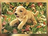 Yellow Labrador Puppy Puppet