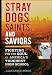 Stray Dogs, Saints, and Saviors: Fighting for the Soul of America's Toughest High School