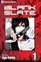 Blank Slate, Vol. 1
