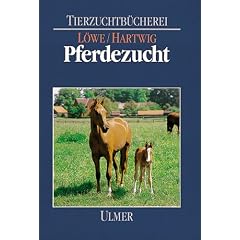 Pferdezucht