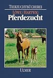 Pferdezucht