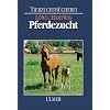 Pferdezucht