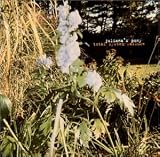 Juliana's Pony: Total System Failure