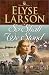 So Shall We Stand (Women of Valor) by Elyse Larson ISBN 0764223755