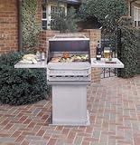 24' Gas Grill