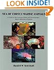 Sea of Cortez Marine Animals: A Guide to the Common Fishes and Invertebrates Baja California to Panama