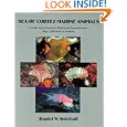 Sea of Cortez Marine Animals: A Guide to the Common Fishes and Invertebrates Baja California to Panama