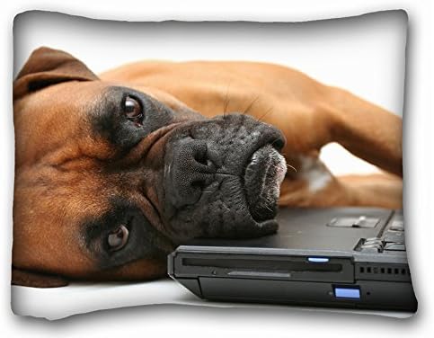 Decorative Standard Pillow Case Animals dog boxer notebook 20"*26" One Side