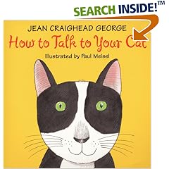 How to Talk to Your Cat (Talk to Your Pets)