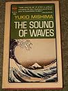 The Sound of Waves