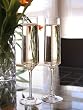 Orrefors Amor Vincit Omnia Champagne Flute - DIAMOND EDITION