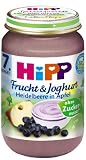 Hipp Heidelbeere