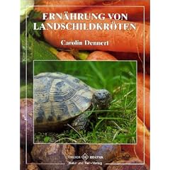 Ern�hrung von Landschildkr�ten