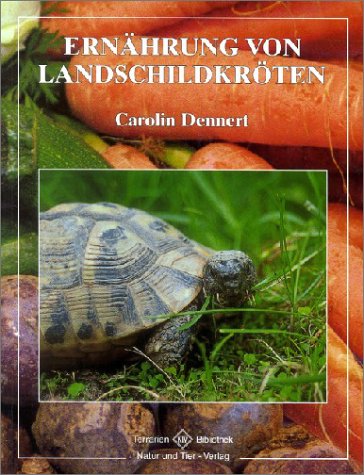 Ernährung von Landschildkröten