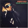 Image de l'album de John Cale