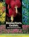Bleeding Hearts, Corydalis, and Their Relatives